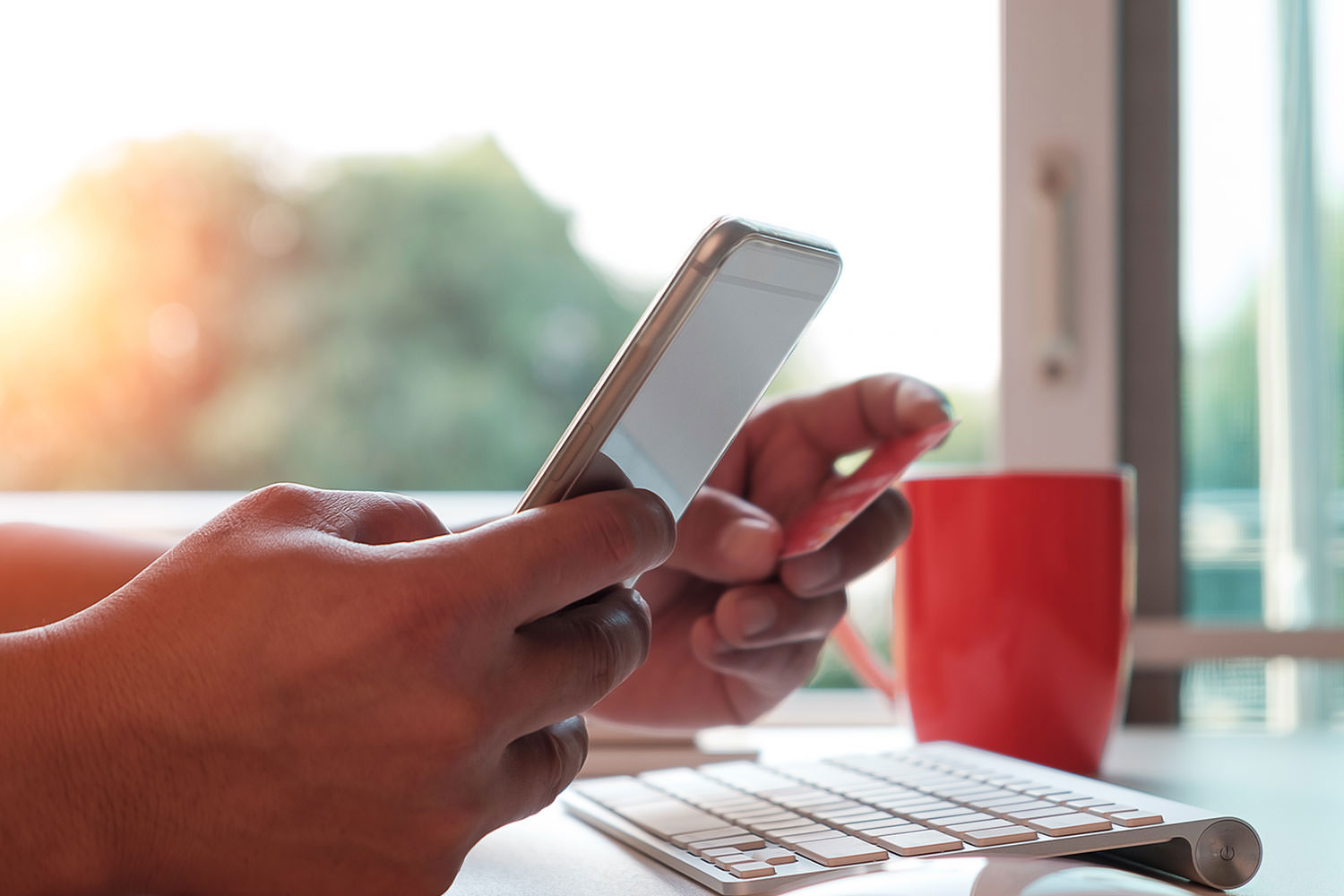 Hands holding a phone and a credit card.